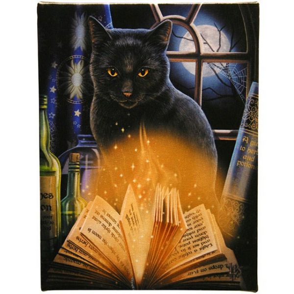 19X25CM BEWITCHED CANVAS PLAQUE BY LISA PARKER