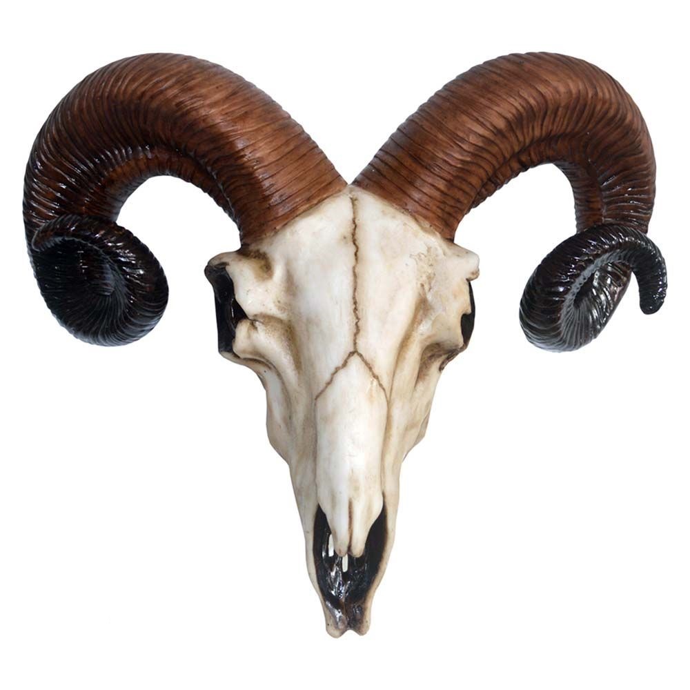 Rams Skull Medium 33cm